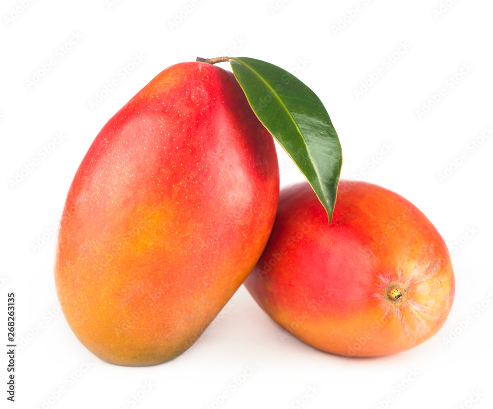 Mango leaf isolated on white background Clipping Path Mango leaf isolated on white background Clipping Path