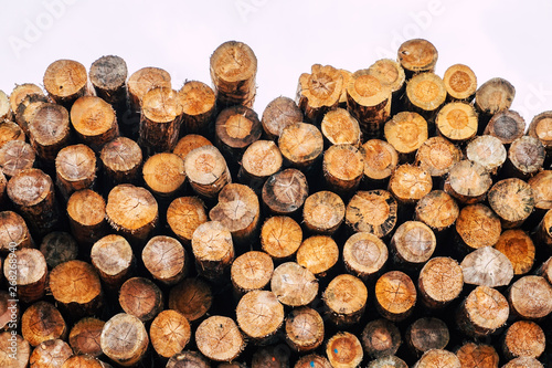 Chopped wood  woodpile  firewood - sawmill