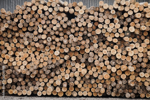 Chopped wood  woodpile  firewood - sawmill