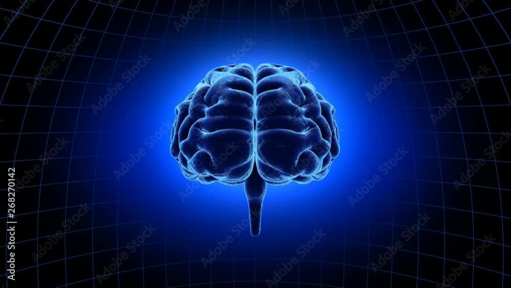 Brain head mind image background. Brain head mind image background.