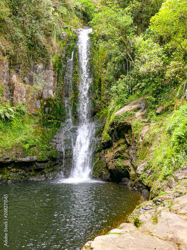 scenic Kaituna River, Rotorua  in the tropical forest in New Zealand