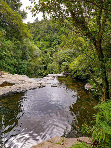 scenic Kaituna River, Rotorua in the tropical forest in New Zealand