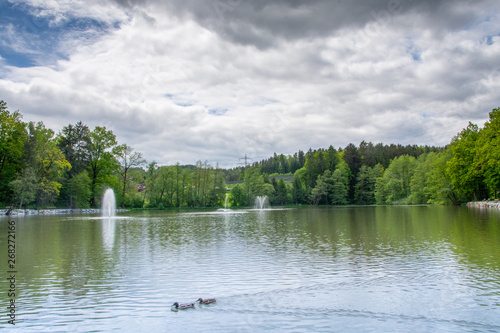 2 enten schwimmen in einem see mit wasserfontänen und dramatischem himmel