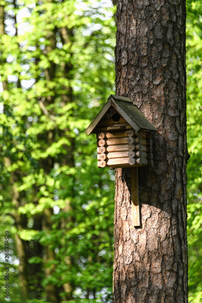 Birdhouse on a tree in the park in spring, birdhouse handmade for birds. Birdhouse on a tree in the park in spring, birdhouse handmade for birds.