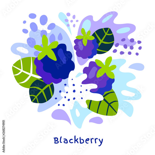 Fresh blackberry berry berries fruits juice splash organic food juicy blackberries splatter on abstract background vector hand drawn illustrations
