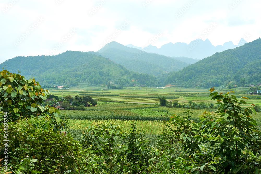 Mountain landscape north Vietnam. Beautiful view on the Ha Giang loop on the north of Vietnam. Motorbike trip