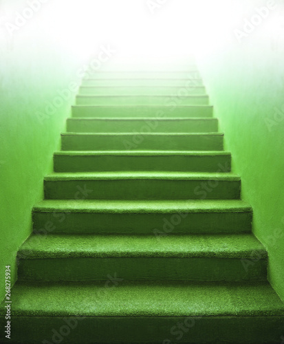 Green Stairs, indoor grass carpet step