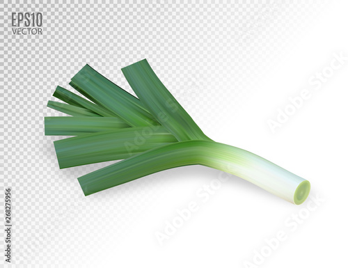 Fresh leek on a white background. Photo realistic vector, 3d