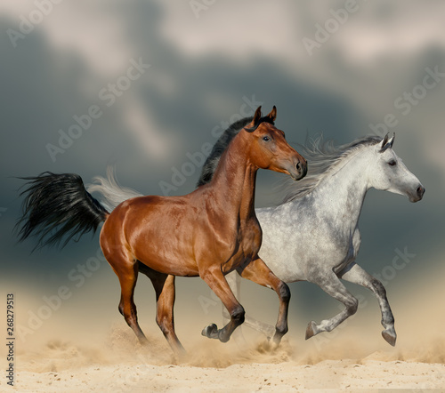 Fototapeta Naklejka Na Ścianę i Meble -  Horses in desert