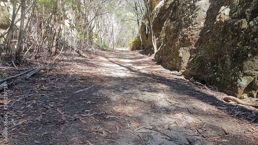 Glow Worm tunnel Near Lithgow Australia Glow Worm tunnel Near Lithgow Australia