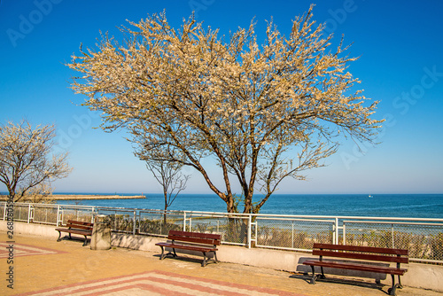 Fototapeta Naklejka Na Ścianę i Meble -  Ustka, Poland with beach promenade in spring