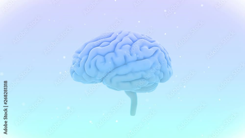 Brain head mind image background. Brain head mind image background.