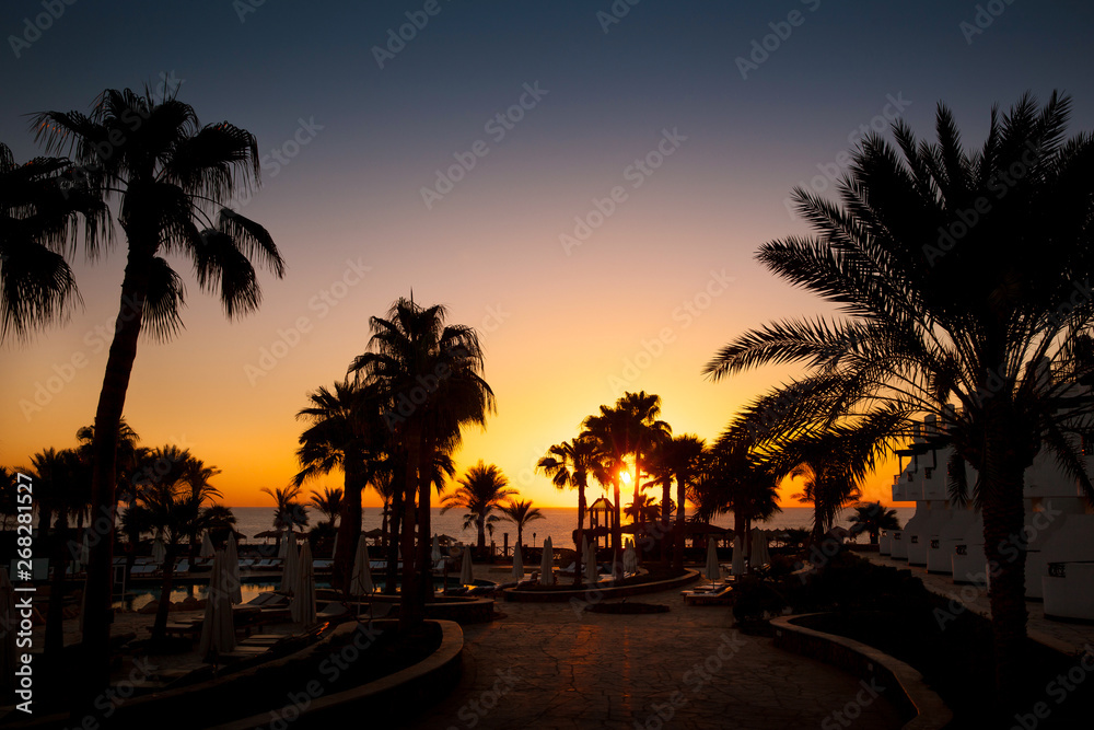 Beautiful golden sunrise on the site of the silhouette of palm trees