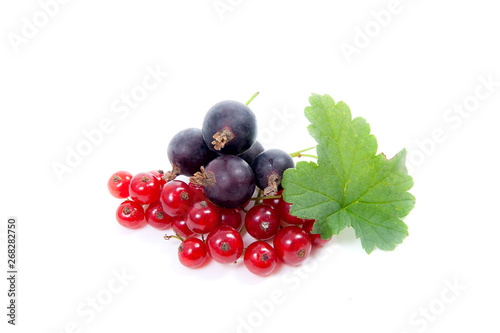 Black and red currant berry isolated on white. A bunch of black and red currant..