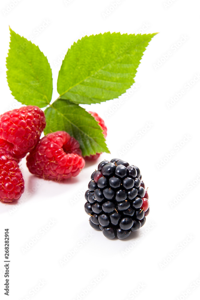 Ripe raspberries with leaf and blackberry isolated on white background. Ripe raspberries with leaf and blackberry isolated on white background.