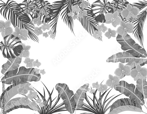 Tropical leaves of banana, coconut, monstera and ogawa, pink orchid in black and white version. Place for advertising, advertising. illustration photo