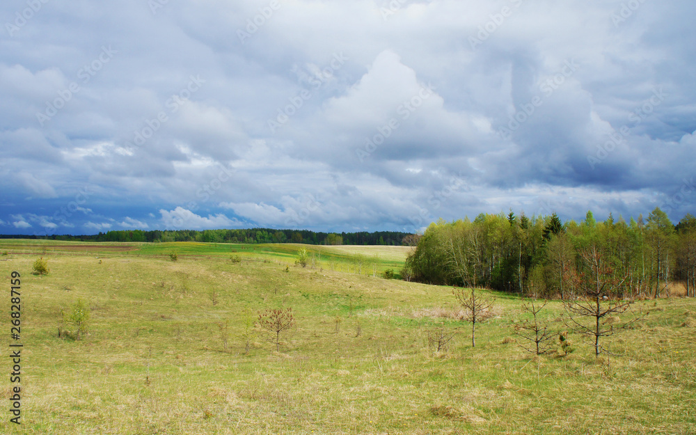 The sky is a thunderstorm contrasting clouds before the rain in the meadow in the field.