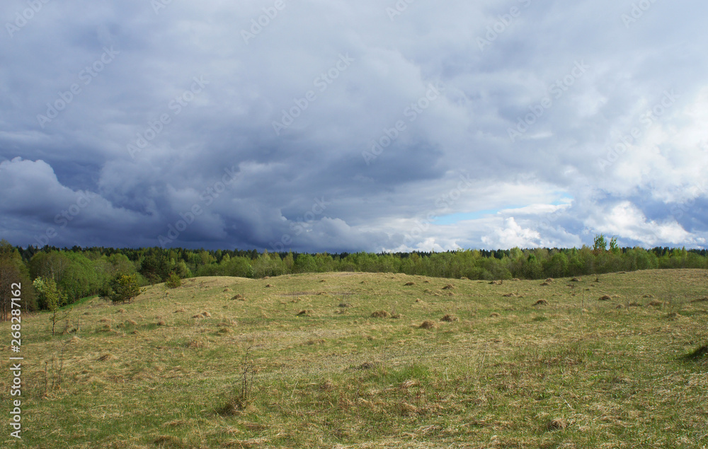 The sky is a thunderstorm contrasting clouds before the rain in the meadow in the field. The sky is a thunderstorm contrasting clouds before the rain in the meadow in the field.