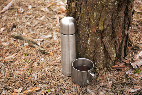 Thermos and mug of tourist near tree in forest