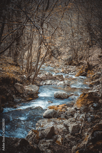 Mountain river in autumn