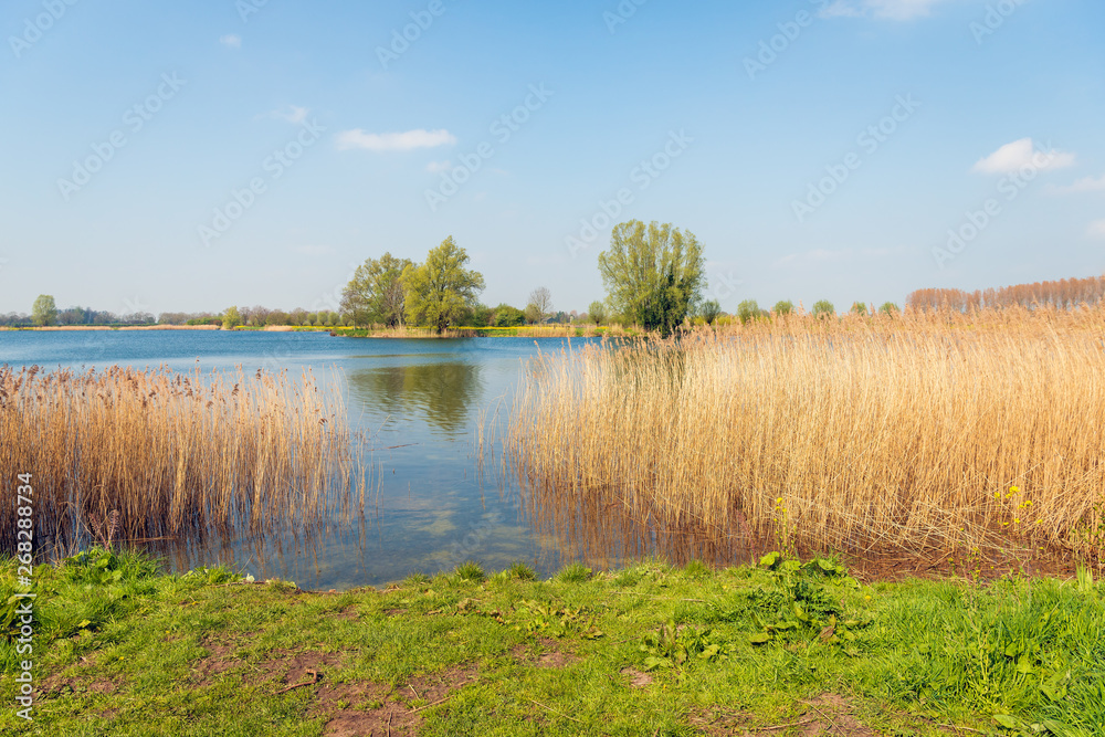 On the shore of a lake