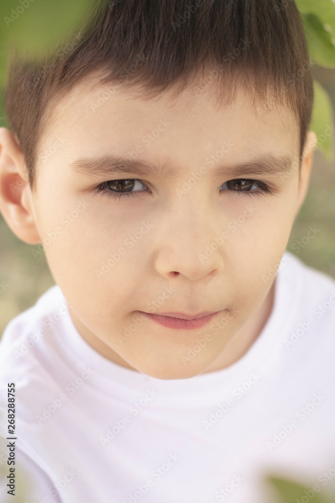 little boy with brown eyes in the garden closeup little boy with brown eyes in the garden closeup