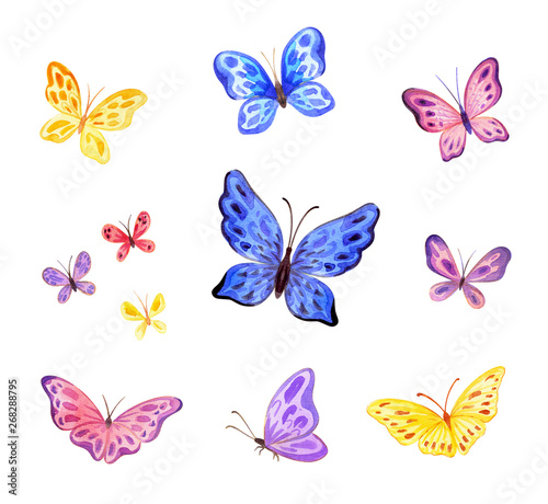 Ñute butterflies set. Hand painted watercolor illustrations isolated on a white background.