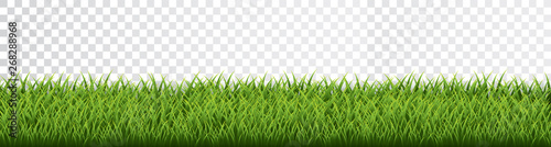 Green grass border set on transparent background. Vector Illustration