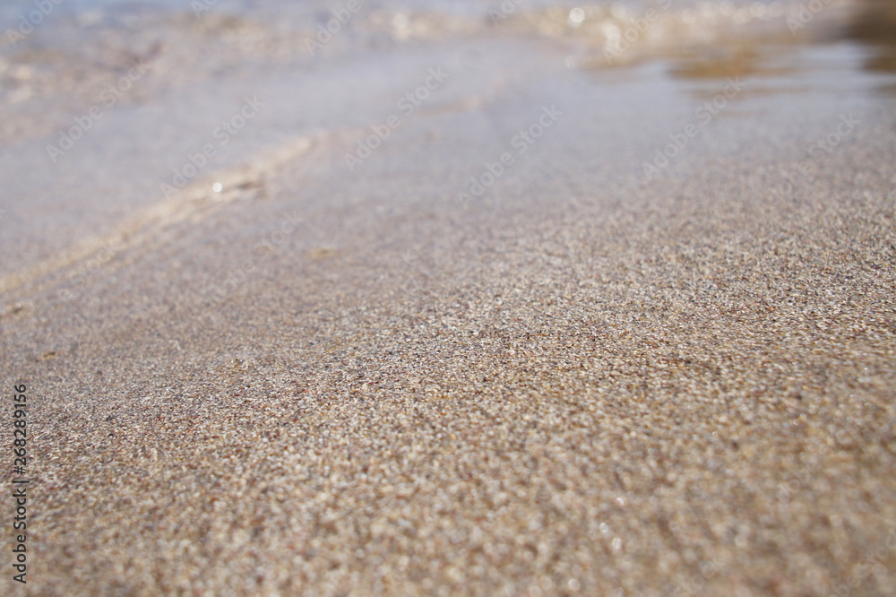 Canary Islands nature. Sandy coast close up.