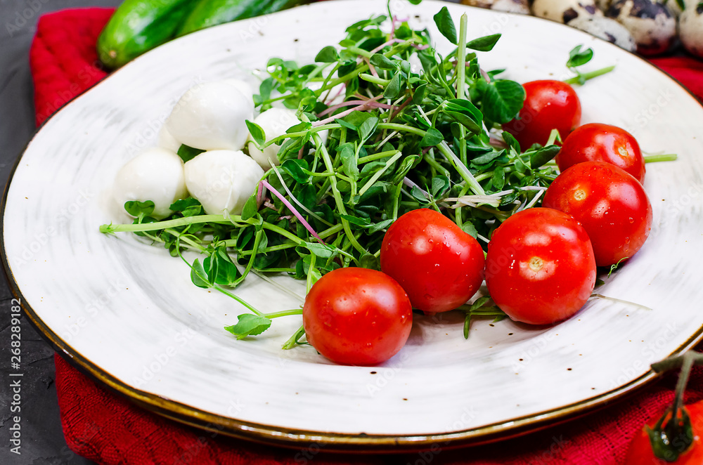 Fresh salad with chicken breast, arugula and tomato. Fresh salad with chicken breast, arugula and tomato.