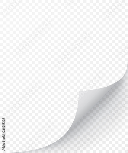Sheet of paper with curled corner and soft shadow, template for your design. Set. Vector illustration