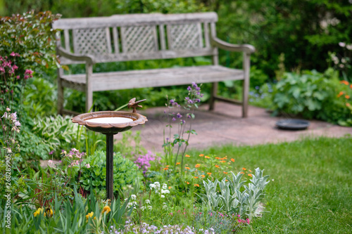 Photos Idyllic view of a beautiful green and growing  springtime garden with flowering
