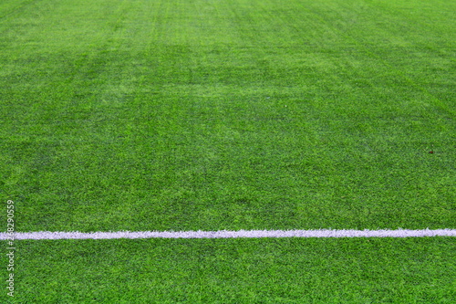 field with lines of grass soccer