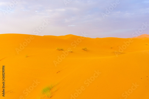 Beautiful landscape of the dunes of the Sahara Desert at dusk  Merzouga  morocco