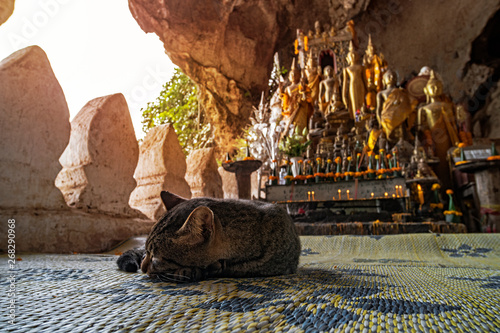 Pak Ou Cave on Mekong River near Luang Prabang, Laos... cave of 5000 Buddhas photo
