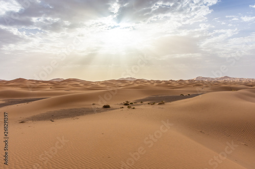 Beautiful landscape of the Sahara Desert  erg Chebbi  Merzouga  morocco