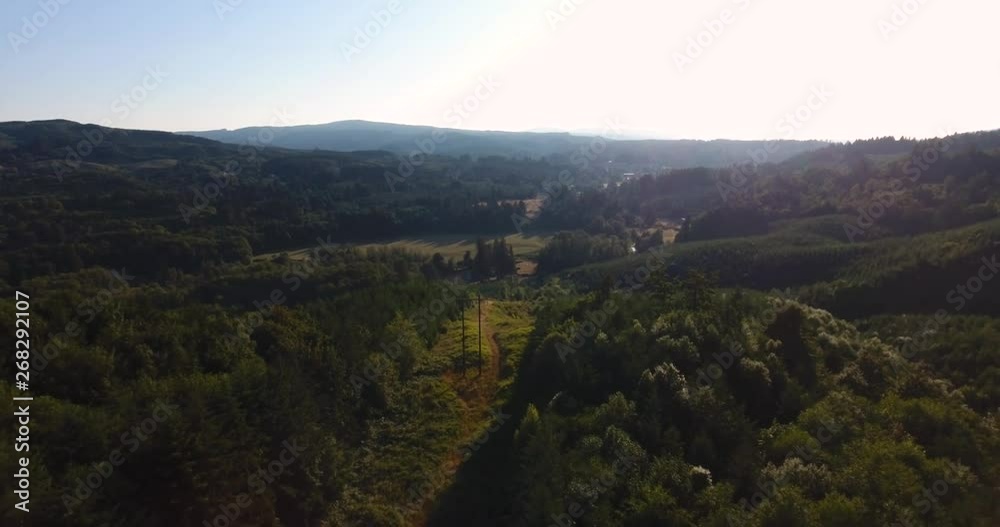Drone Flying over forest at sunset 4k Drone Flying over forest at sunset 4k