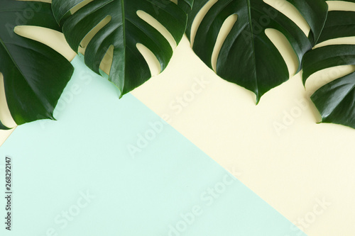 Tropical palm background. Creative layout made of green tropical leaves on bl...