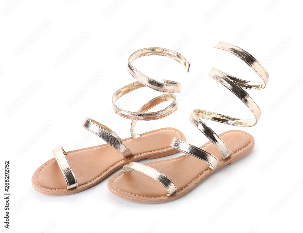 Pair of stylish female sandals on white background