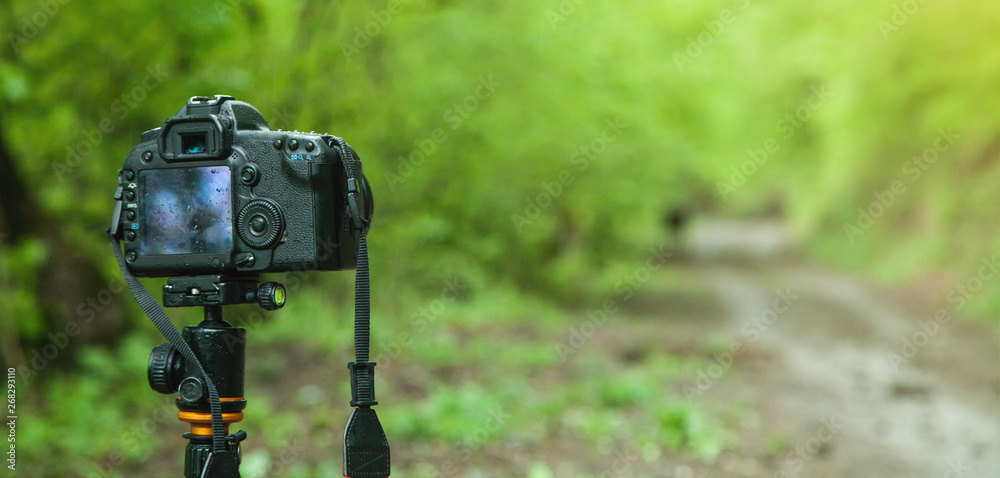 DSLR camera in forest background. DSLR camera in forest background.