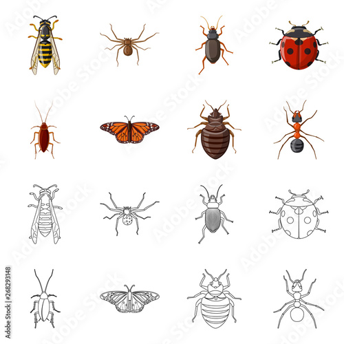 Vector design of insect and fly symbol. Set of insect and element stock symbol for web. © Svitlana