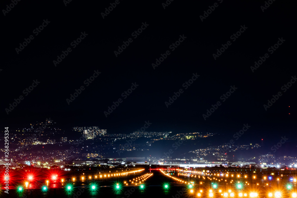 大阪国際空港 大阪国際空港