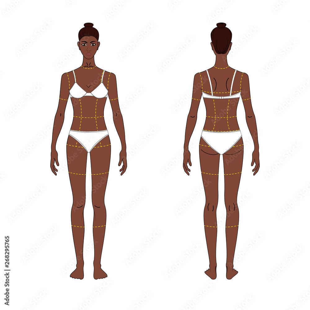 women's body proportions and measurements for clothing design and sewing. Front, back views. vector women's body proportions and measurements for clothing design and sewing. Front, back views. vector