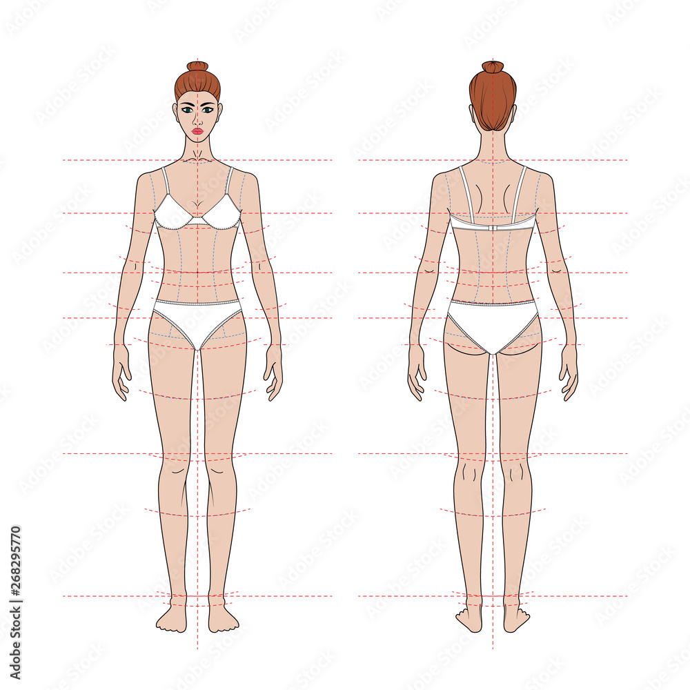 women's body proportions and measurements for clothing design and sewing.  Front, back views. vector Stock Vector
