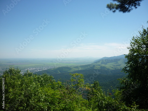 landscape with trees and blue sky