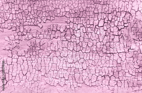 Pink old wooden texture background. Creat background with copy space
