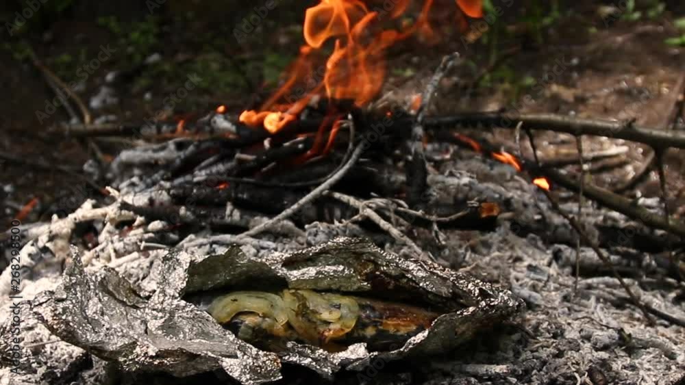 Cooking on a campfire. Nature and recreation Cooking on a campfire. Nature and recreation