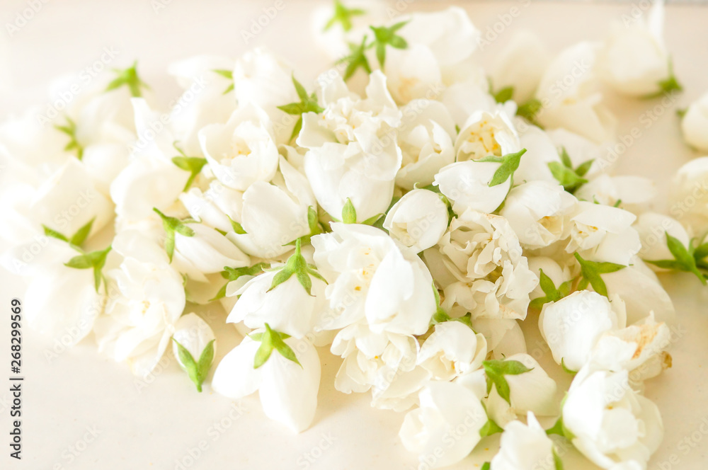 Wedding background with white flowers, view from above