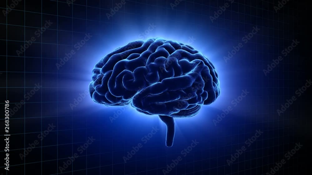 Brain head mind image background. Brain head mind image background.
