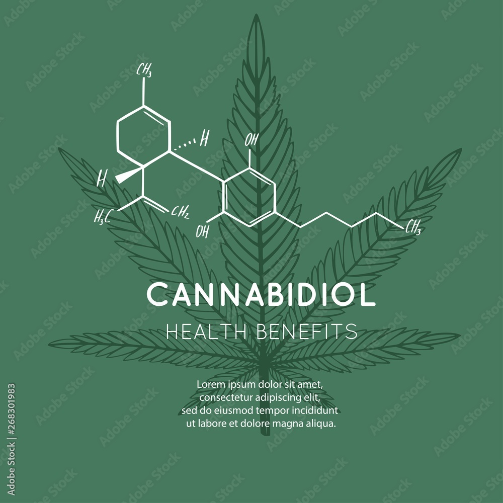 Vector background, banner, poster with CBD formula. Cannabis leaf in medecine concept. Health benefits of Marijuana